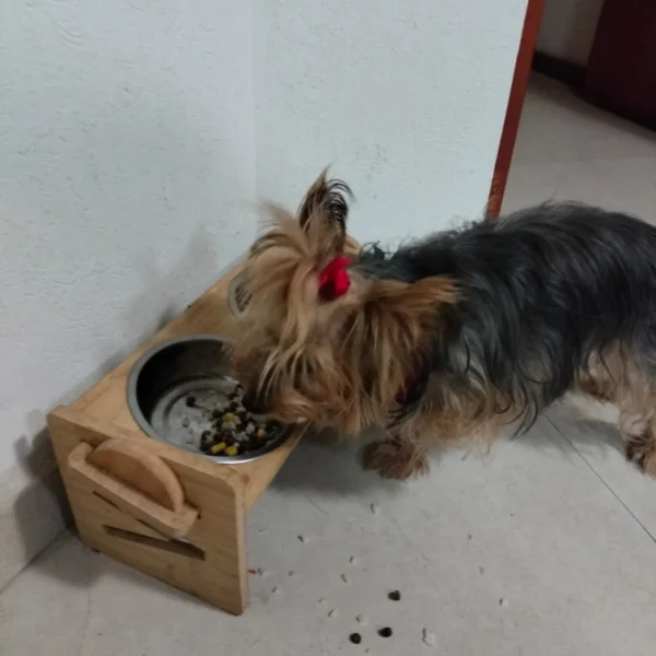 Foto de cliente — Aceite de Omegas 3 y 6